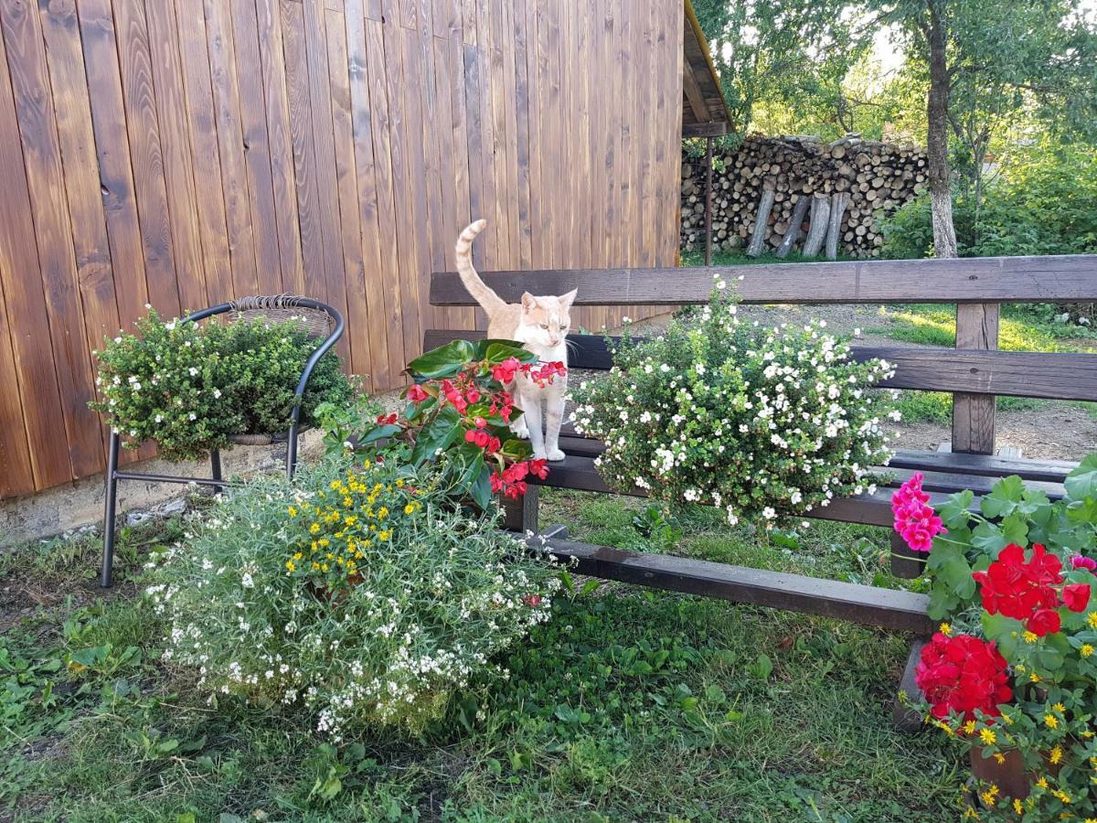 Sanja Apartment Rakovica